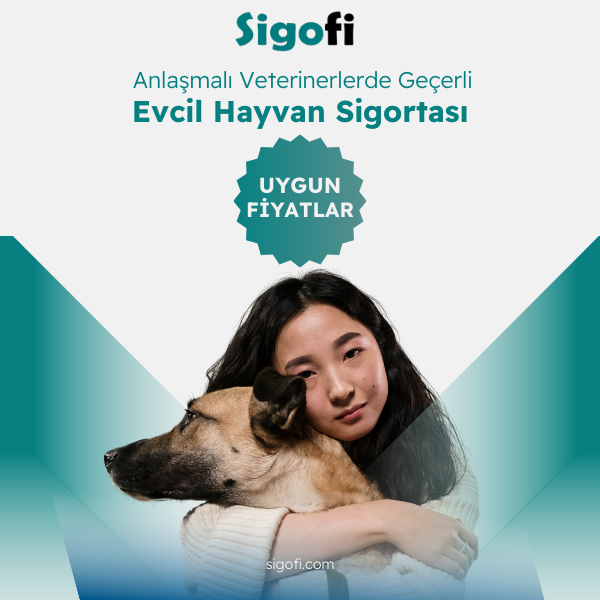 Evcil Hayvan Sigortası